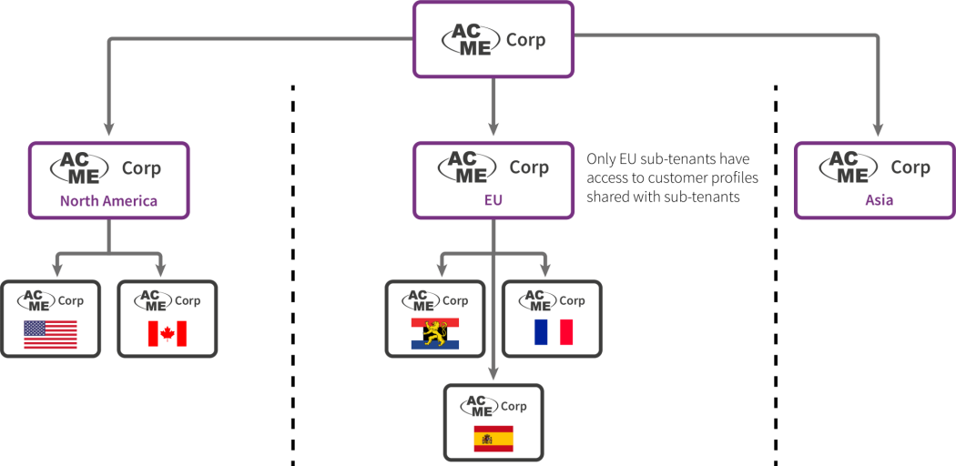 Corporate structure with access segregation by region