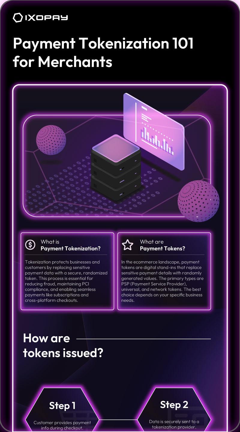Payment Tokenization 101 for Merchants Infographic Preview